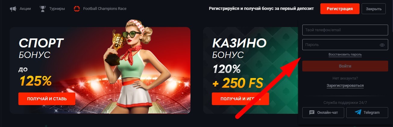 Вход Pin Up